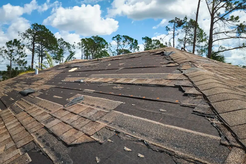 Roof with shingles torn off after a hurricane